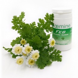 Oemine Febril (Extract musetel + Gentiana) - 60 capsule Beneficii extract de musetel: ajuta in caz de raceli pe timpul iernii, s