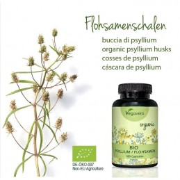 Vegavero Psyllium Organic 180 capsule Beneficii Psyllium: regleaza digestia, are un continut bogat de fibre, mentine sanatatea i