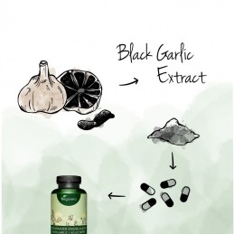 Vegavero Extract de usturoi negru 120 Capsule Beneficii Extract Usturoi Negru: imbunătățește funcția imunitară, protejati ficatu