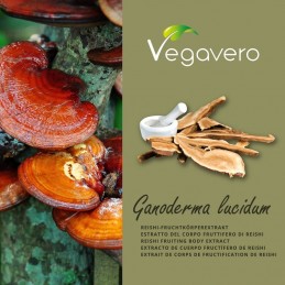 Vegavero Reishi Ganoderma extract 120 Capsule Beneficii Reishi Ganoderma extract: reduce oboseala, are proprietati adaptogene, r
