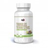 Tribulus Terrestris 1000mg 50 Comprimate Tribulus Terrestris 1000mg Beneficii: creste in mod natural nivelul de tes-tosteron, am