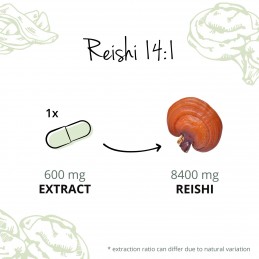 Vegavero Organic Reishi 600 mg, 60 Capsule Beneficii Reishi Ganoderma extract: reduce oboseala, are proprietati adaptogene, redu